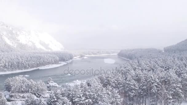 Vista aerea. Volo sopra il bellissimo fiume invernale e la foresta innevata. Natura in inverno. Panorama paesaggistico. Altai, Siberia . — Video Stock
