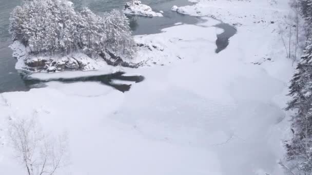 Vista aérea. Vuelo sobre el hermoso río de invierno y el bosque nevado. Naturaleza en invierno. Paisaje panorámico. Altai, Siberia . — Vídeo de stock