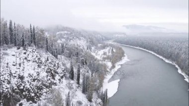 Havadan görünümü. Güzel kış nehir ve snowy orman üzerinde uçuş. Kış doğada. Manzara panorama. Altay, Sibirya.