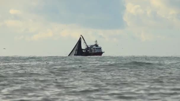 Bir balıkçı teknesi denizde balık tutar.. — Stok video