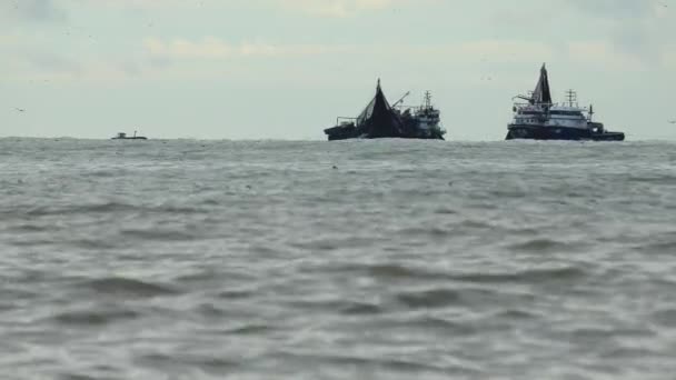 Um barco de pesca pesca no mar . — Vídeo de Stock