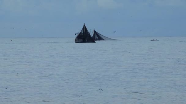 Sebuah perahu nelayan ikan di laut . — Stok Video