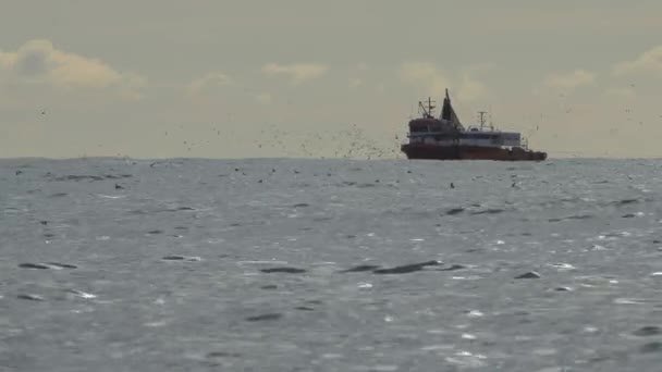 Ένα αλιευτικό σκάφος ψαρεύει στη θάλασσα. — Αρχείο Βίντεο