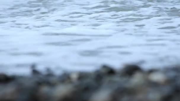 Un bateau de pêche pêche pêche dans la mer . — Video