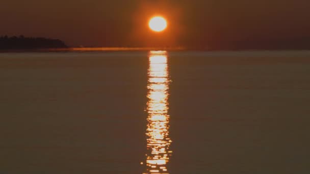 オレンジの夜明け、海岸や木々の背景に海の上に霧。. — ストック動画