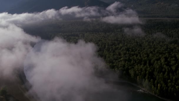 4K aerial view. Low flight over a fresh cold mountain river with green trees. — Stock Video