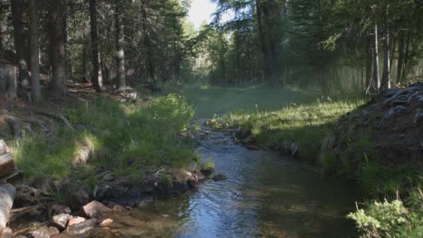 Gruesa niebla blanca sobre el río en el bosque. 4k — Vídeos de Stock