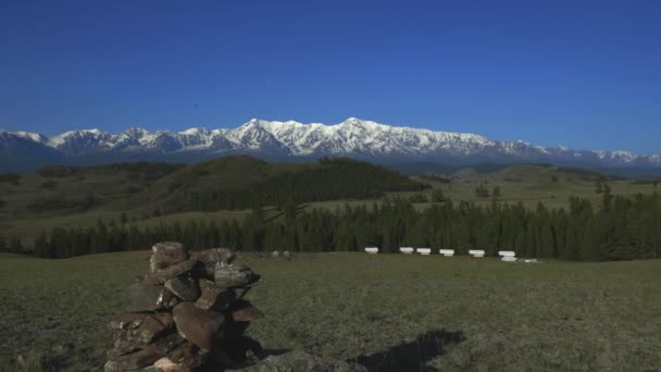 Campeggio nella foresta sullo sfondo di montagne innevate Turismo naturale 4k — Video Stock