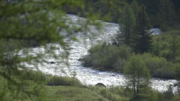 Montagne ruisseau de source est une rivière sauvage rapide dans la forêt. 4k — Video