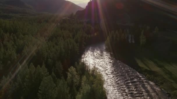 Lesní krajina sluneční paprsky přes řeku kinematografické záběry, letecké fotografie borového lesa řeky a hor. 4k — Stock video