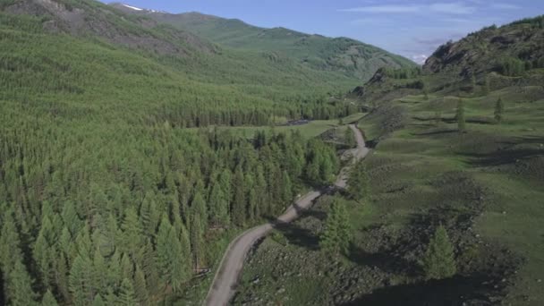 Bos landschap op de weg naar de besneeuwde bergen luchtfotografie van dennenbos weg 4k — Stockvideo