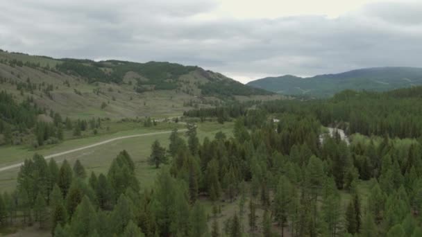 Leśny krajobraz przelatujący nad drogą w oddali. fotografia lotnicza sosnowej drogi leśnej 4k — Wideo stockowe