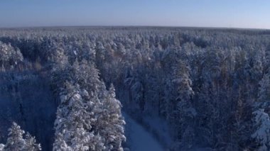 Aerial photo of a winter road in the forest. Vehicle traffic, helicopter flight 