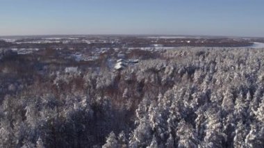 Aerial photo of winter forest flying over village houses 4k