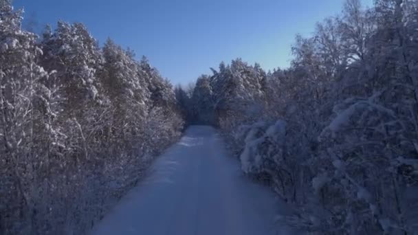 Luftaufnahme eines Winterweges im Wald. Fahrzeugverkehr, Hubschrauberflug — Stockvideo