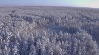 Aerial photo of a winter road in the forest. Vehicle traffic, helicopter flight 