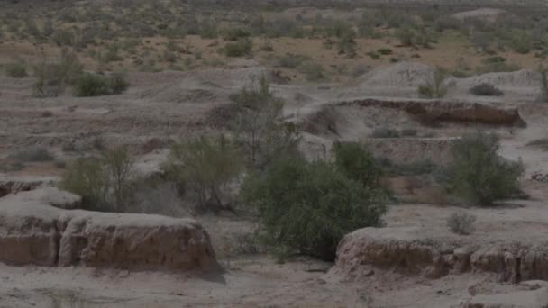 Archeologische opgravingen in de woestijn oude oude stad van Azië — Stockvideo