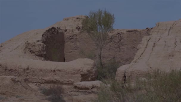 Archaeological excavations of the old ancient city of Asia — Stock Video