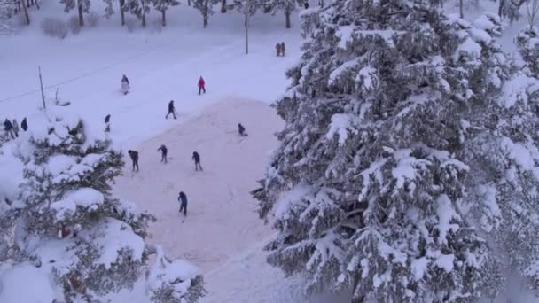 Crianças jogam hóquei em uma floresta nevada fotografia aérea é assistida por espectadores — Vídeo de Stock