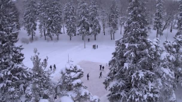 Çocuklar, karlı bir ormanda hokey oynuyor. Havadan çekilen fotoğraflar izleyiciler tarafından izleniyor. — Stok video