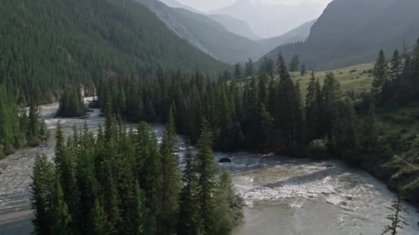 Volando sobre un río que fluye a través de un bosque una garganta. A las montañas nevadas 4K — Vídeo de stock