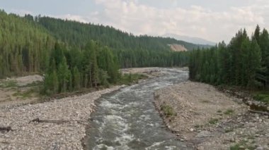 Beautiful mountain river in the forest against the background of mountains 4k