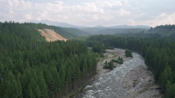 Belle rivière de montagne dans la forêt sur fond de montagnes 4k — Video