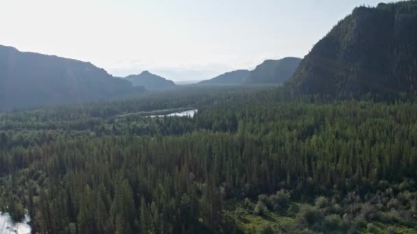 Vue aérienne surplombant les collines de la forêt. Reflet des rayons du soleil 4k — Video