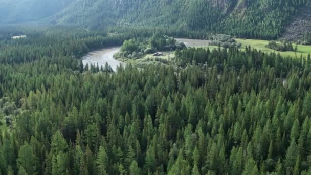 Inspección aérea. Volando sobre un río, un bosque, un pantano, una casa aislada, 4k — Vídeos de Stock