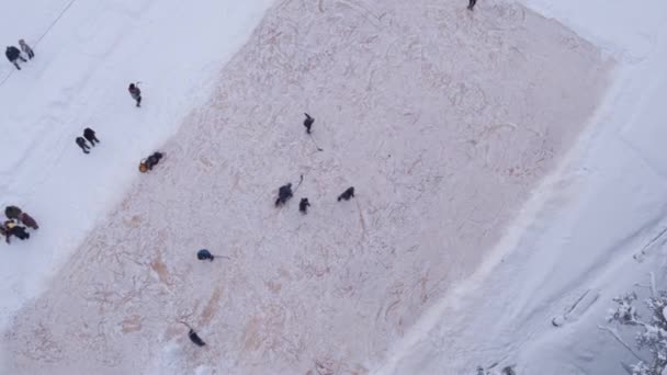 Na floresta nevada, as crianças jogam hóquei, voando entre abetos Natal 4K — Vídeo de Stock