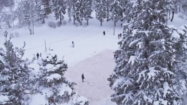 V zasněženém lese si děti hrají hokej, létají mezi jedlemi. Vánoce — Stock video