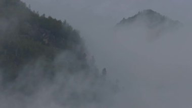 Ormanda sis, katı bulutlar, bulutlar saklanır, dağların manzarası açılır.