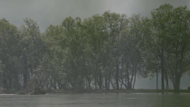 Köd a folyóparton, alacsony felhők. Festői kilátás nyílik a strandra a fák között — Stock videók