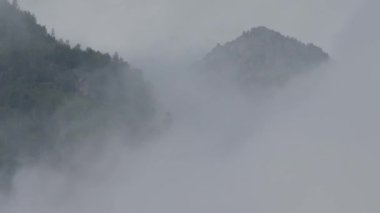 Ormanda sis, katı bulutlar, bulutlar saklanır, dağların manzarası açılır.