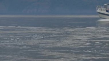 Motorlu tekne, kötü havada gölün arka planında yol alır.