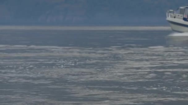 Motorboot fährt bei schlechtem Wetter auf dem See vor dem Hintergrund der Berge — Stockvideo