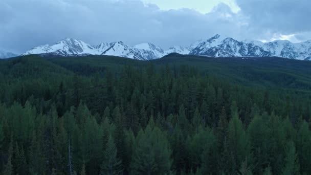 Ağaçların üzerinden uçmak, karlı dağlarda uçmak. 4K — Stok video