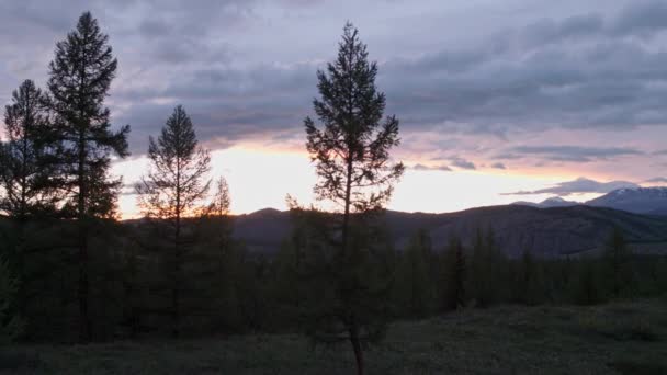 Sunset, the suns rays break through the branches of trees in the mountains. 4K — Stock Video