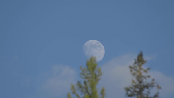 Chiudersi Nel Cielo Blu Diurno Con Nuvole Luna Nascente — Video Stock