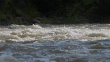 Çamurlu bir dağ nehrinin parçası. Nehir spreyi sıçrar