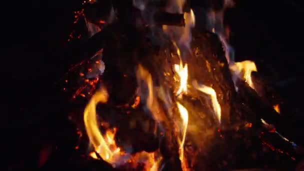 Het Vuur Brandt Het Donker Het Bos Hout Open Haard — Stockvideo