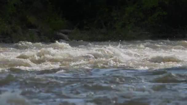 Fragment d'une rivière de montagne boueuse. Le jet de rivière rebondit — Video