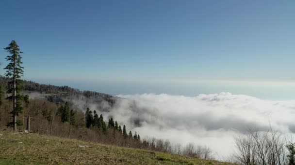 Movement Clouds Surface Mountain Fog Creeps Timelapse — Stock Video