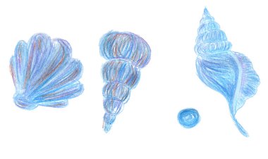 Deniz mavisi deniz kabukları seti. Deniz sakinleri. Beyaz arka planda yaşayan sakinler.