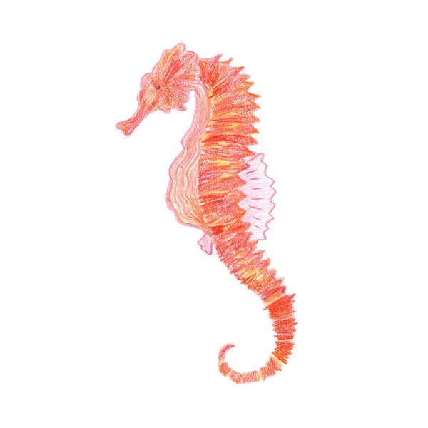 Hippocampus Red Seahorse Cute Animal Drawn Red Pencil Sea Inhabitant — 스톡 사진