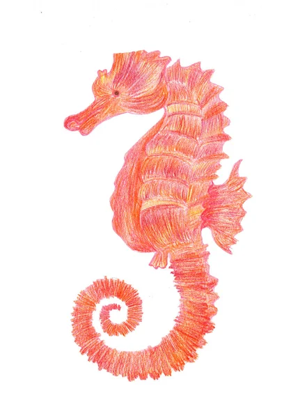 Red Seahorse Drawn Colorful Pencils Red Yellow Strokes Hand Drawing — 스톡 사진