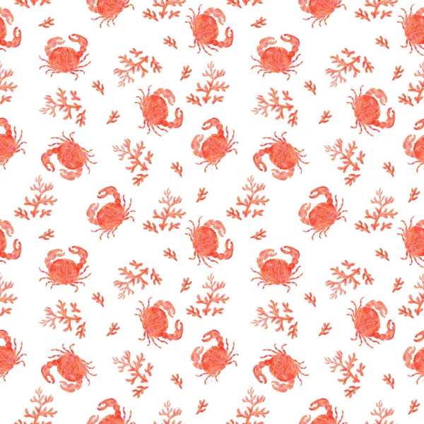 Funny red seamless marine pattern with crab and coral.  Sea inhabitants.Hand pencil drawing.Isolated on a white background.