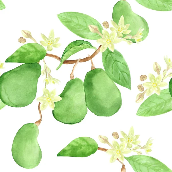 Green Ripe Avocado Seamless Pattern Watercolor Hand Drawing Isolated White — стоковое фото