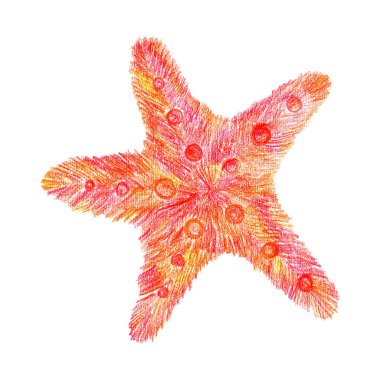İzole edilmiş beyaz arka planda renkli kalemlerle çizilmiş denizyıldızı. Denizci şirin sakinleri.