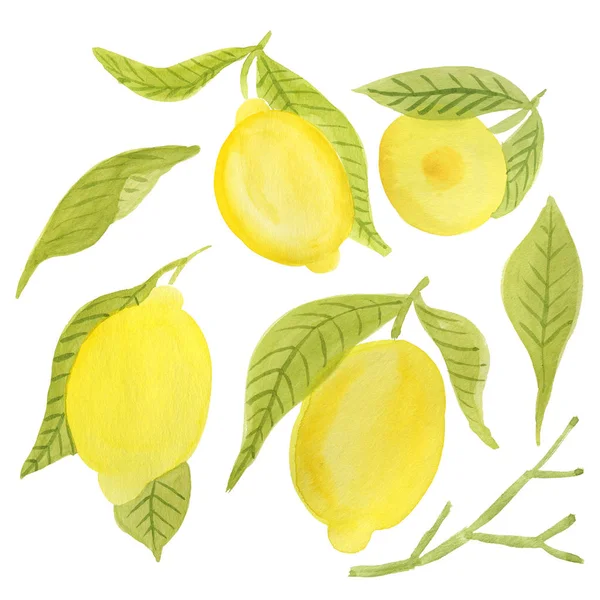 Ensemble Fruits Feuilles Brins Citrons Juteux Illustration Aquarelle Isolée Sur — Photo